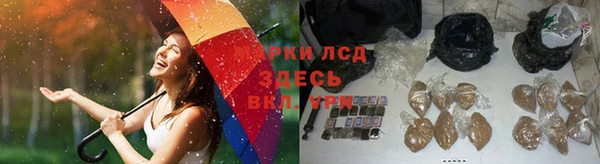 сатива Абинск