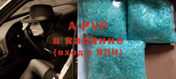 сатива Абинск