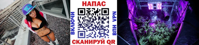 Марихуана планчик  где купить   Назрань 